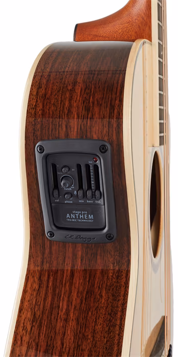 Furch Orange Master's Choice OMc-SR - Elektroakustische Gitarre