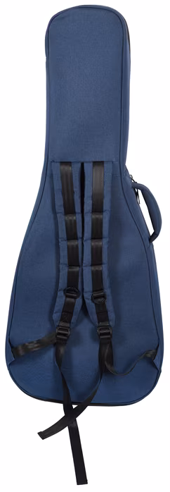 Martin Shawn Mendes - Elektroakustische Gitarre