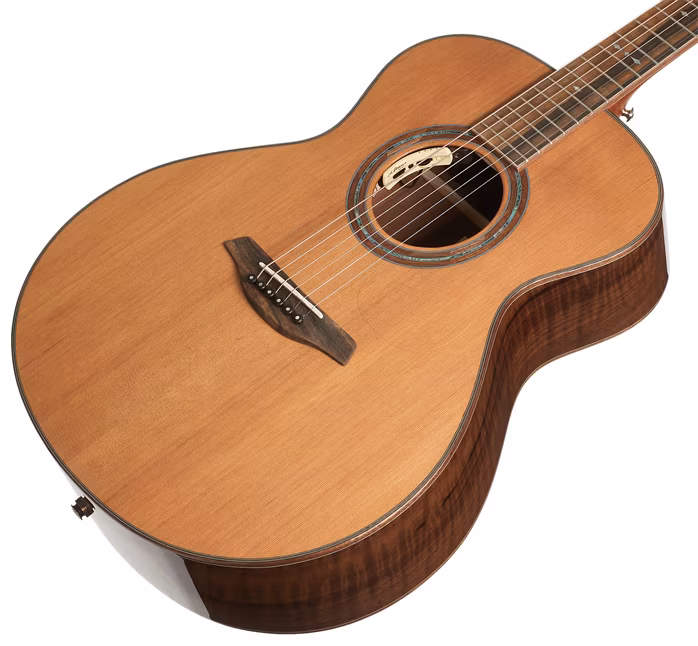 Furch Rainbow G-CL - Elektroakustische Gitarre