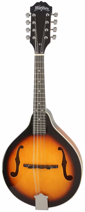 Washburn M1TS-A-U - Akustische Mandoline