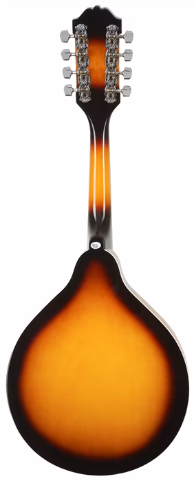 Washburn M1TS-A-U - Akustische Mandoline