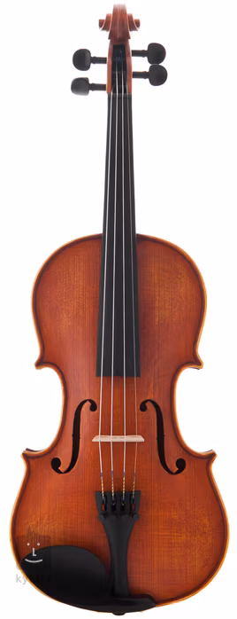 Antoni ASV44 - Akustische Violine