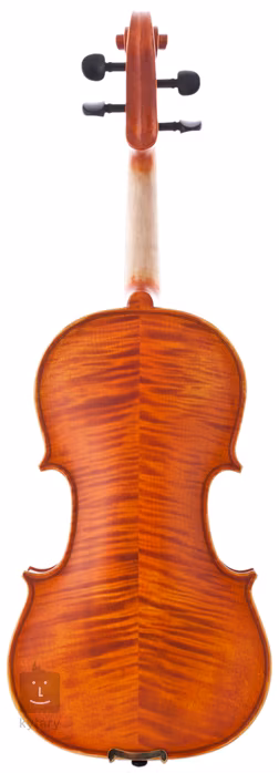Antoni ASV44 - Akustische Violine
