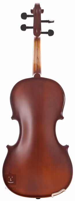 Gewa PS401.612 - Akustische Violine