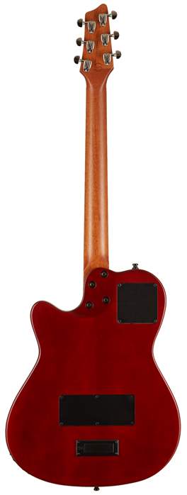 Godin A6 Ultra Natural SG - Elektroakustische Hybridgitarre