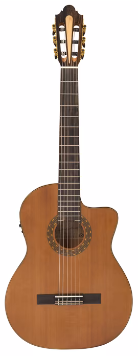 Santos Martinez Allegro Electro Fusion - Klassische elektroakustische Gitarre