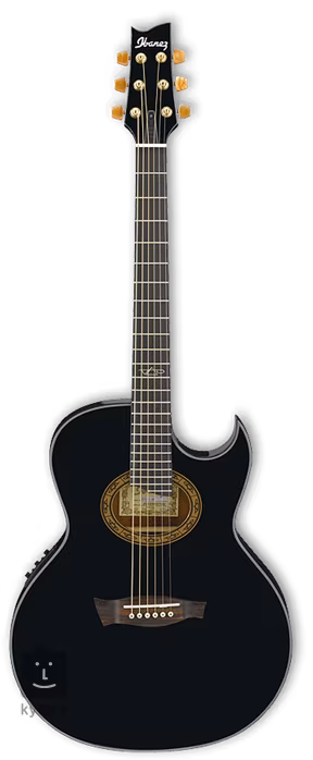 Ibanez EP5 Black Pearl - Elektroakustische Gitarre