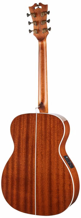 D'Angelico Premier Tammany Vintage Natural - Elektroakustische Gitarre