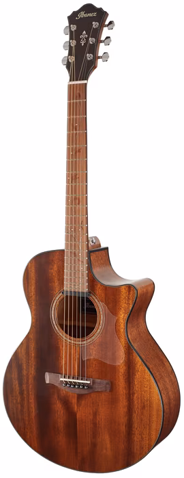 Ibanez AE295-LGS - Elektroakustische Gitarre