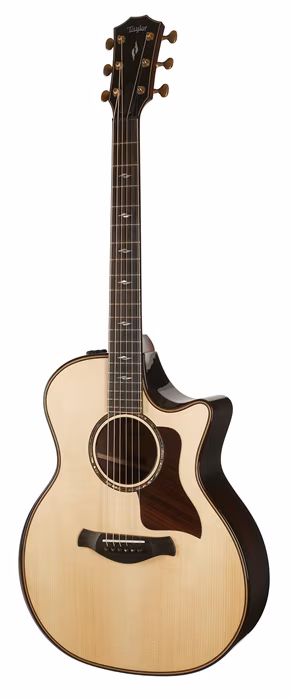 Taylor Builders Edition 814ce - Elektroakustische Gitarre