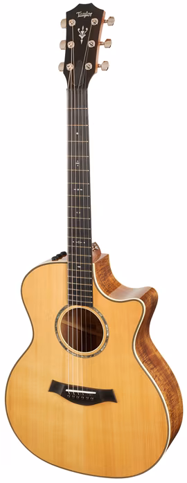 Taylor 514ce LTD - Elektroakustische Gitarre