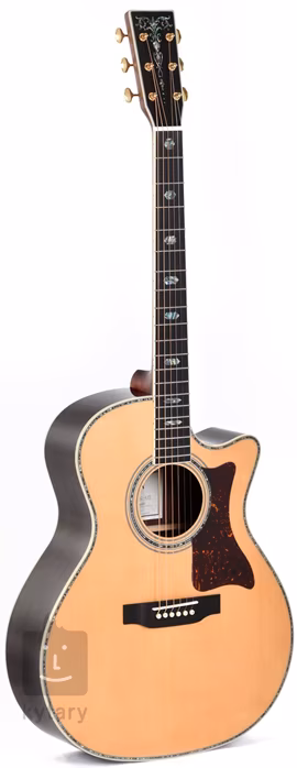 Sigma Guitars SGRC-41E - Elektroakustische Gitarre