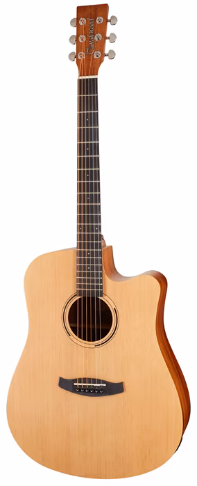 Tanglewood TWR2 DCE - Elektroakustische Gitarre