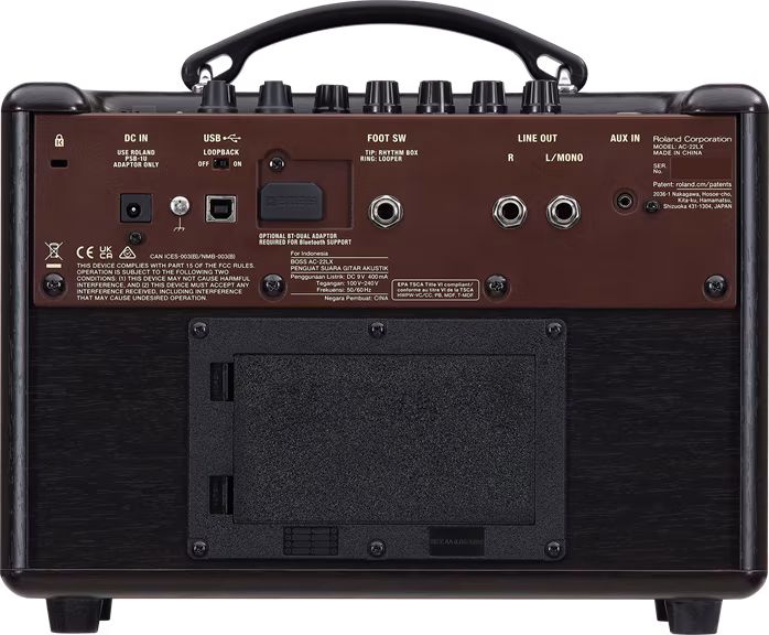 Boss AC-22LX - Combo für akustische Instrumente