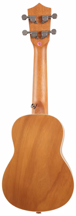 Bamboo U-21 Elixir - Akustische Ukulele