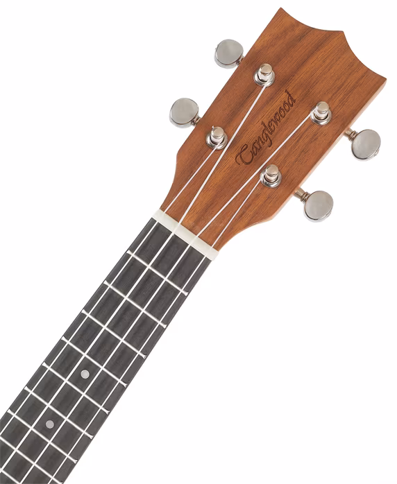 Tanglewood TW EP 1 - Akustische Ukulele