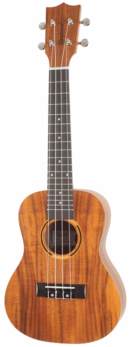Tanglewood TWT8 - Akustische Ukulele