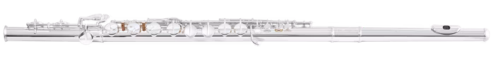 Di Zhao A-100 - Querflöte