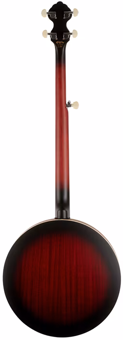 Pilgrim VPB30G - Banjo