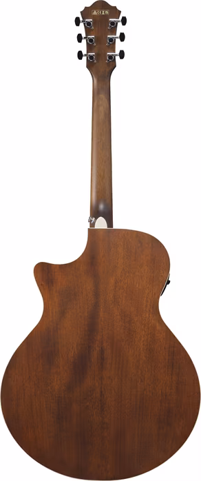 Ibanez AE140 WKH - Elektroakustische Gitarre