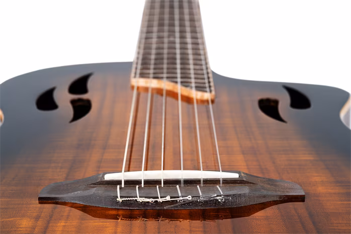 Ortega RTPDLX-ACA - Klassische elektroakustische Gitarre