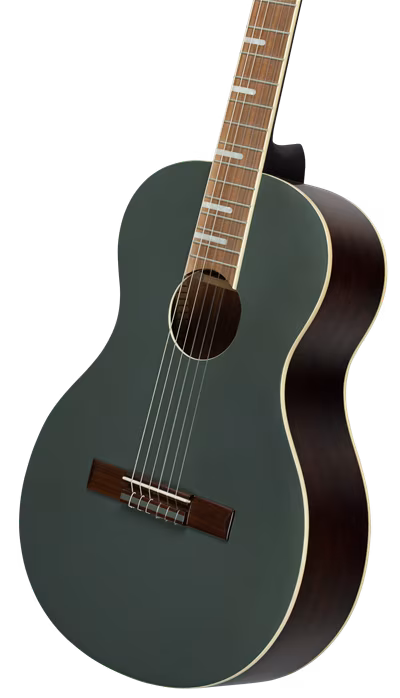 Ortega RRA-PLT - Die klassische Gitarre