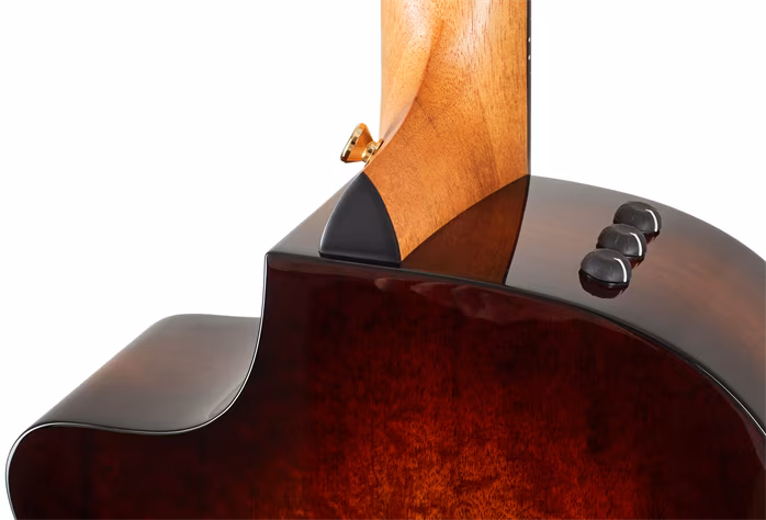 Taylor 222ce-K DLX - Elektroakustische Gitarre