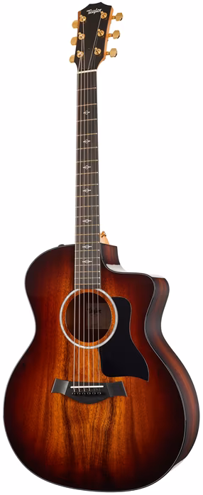 Taylor 224ce-K DLX C-Class Bracing - Elektroakustische Gitarre