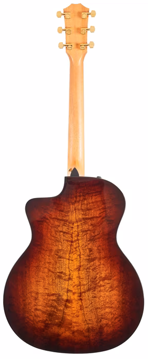 Taylor 224ce-K DLX C-Class Bracing - Elektroakustische Gitarre