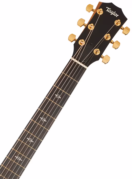 Taylor 224ce-K DLX C-Class Bracing - Elektroakustische Gitarre