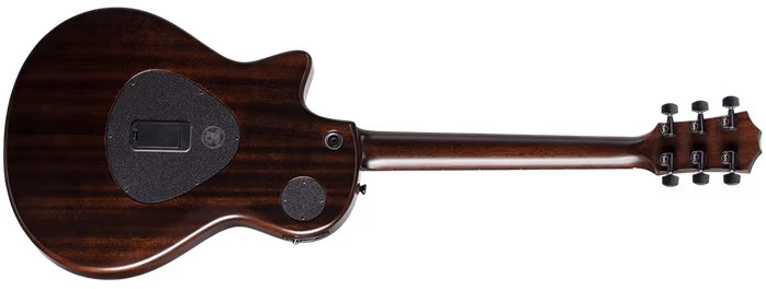 Taylor T5z Classic Rosewood  - Elektroakustische Hybridgitarre