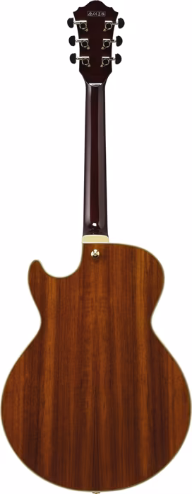Ibanez AG95K Natural - Semiakustische Gitarre