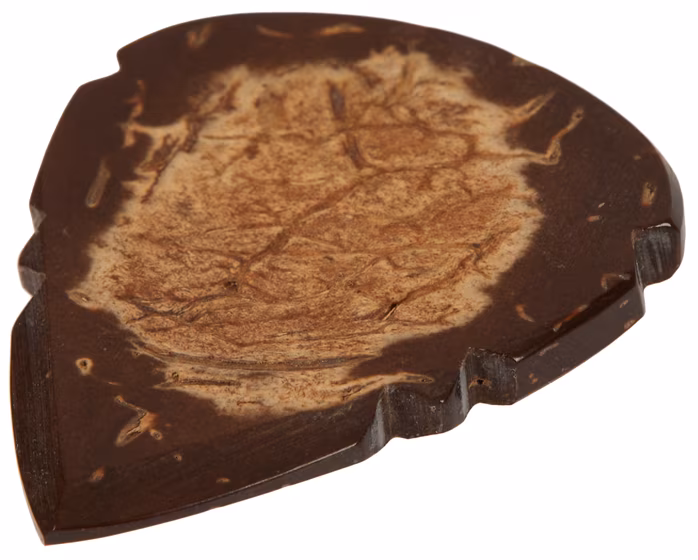 Timber Tones Arrow Tones Coconut Husk - Plektrum