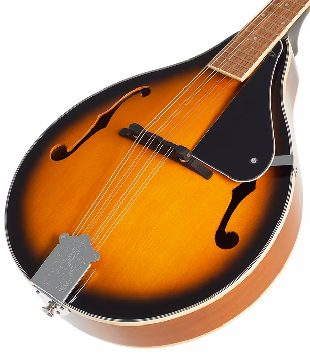 Soundsation BMA-60 VS (gebraucht) - Akustische Mandoline