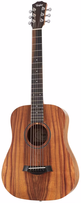 Taylor BTe-Koa - Elektroakustische Gitarre