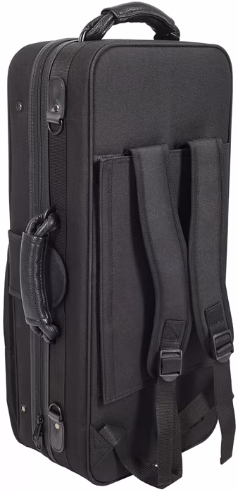 Bacio Instruments BASC200 - Case für Altsaxophon