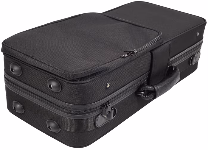 Bacio Instruments BASC200 - Case für Altsaxophon