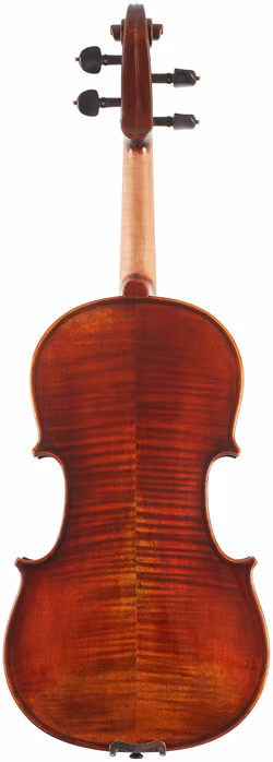 Eastman Amsterdam Atelier 1 Series 4/4 Violin - Akustische Violine