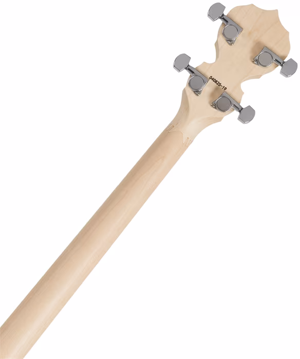 Deering Goodtime Two 19-Fret Tenor - Tenor-Banjo