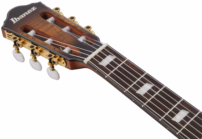Ibanez FRH20SMN Tobacco Burst - Klassische elektroakustische Gitarre