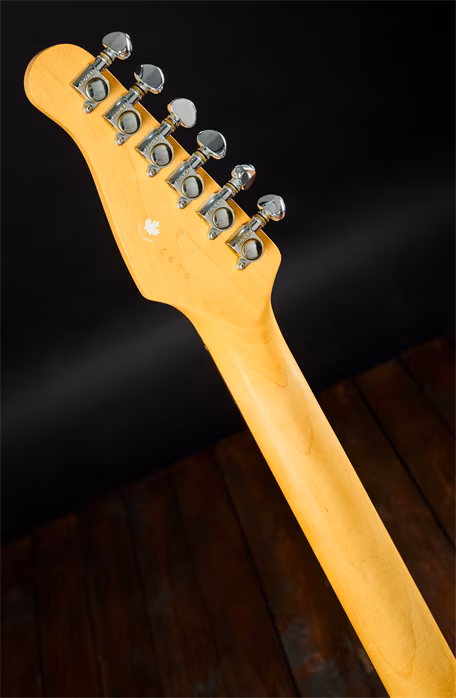 Godin 1988 TC1 BK - E-Gitarre