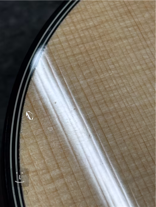 Furch Blue Plus Gc-SW (gebraucht) - Akustische Gitarre