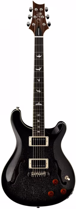 PRS SE Hollowbody Standard Dog Hair Smokeburst - Semiakustische Gitarre