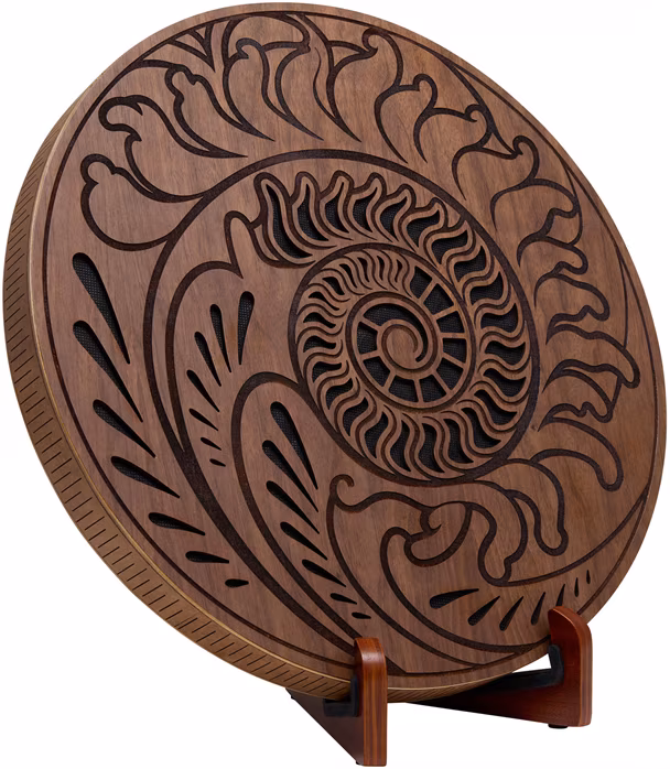 Meinl Sonic Energy RDO15F - Raindisk