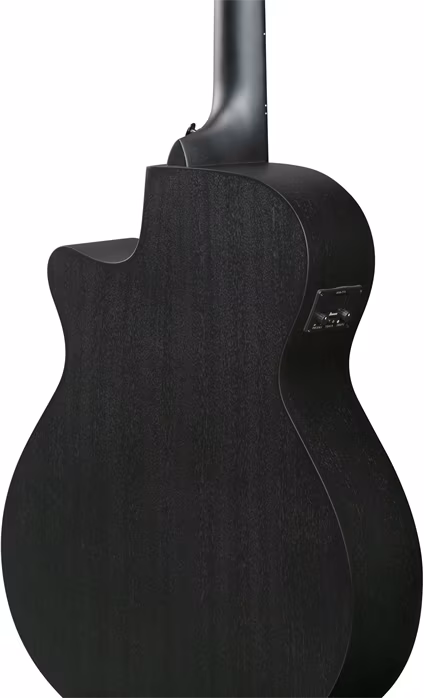 Ibanez AEG1221-BOT - Zwölfsaitige elektroakustische Gitarre