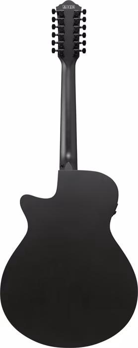 Ibanez AEG621-BOT - Elektroakustische Gitarre