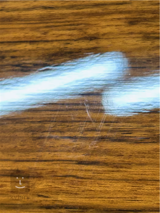 Tanglewood TRX412CE (beschädigt) - Zwölfsaitige elektroakustische Gitarre