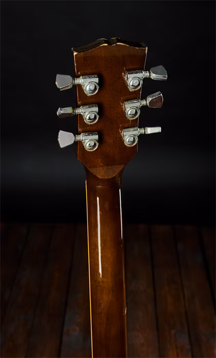 Aria Pro 2 70s Leopard Standard - E-Gitarre