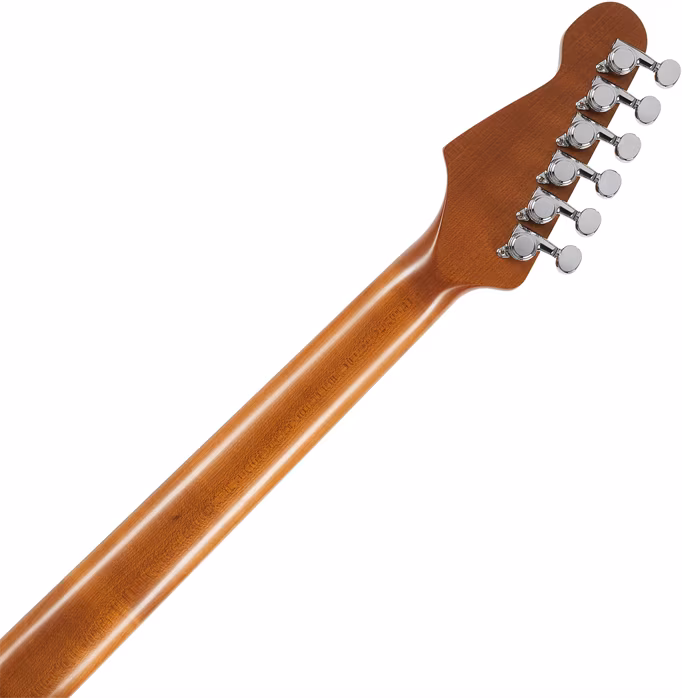 Patina PS-4 SGR - E-Gitarre