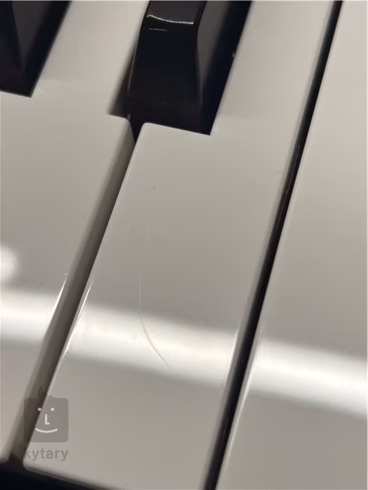 Fox 160 WH (gebraucht) - Keyboard ohne Dynamik